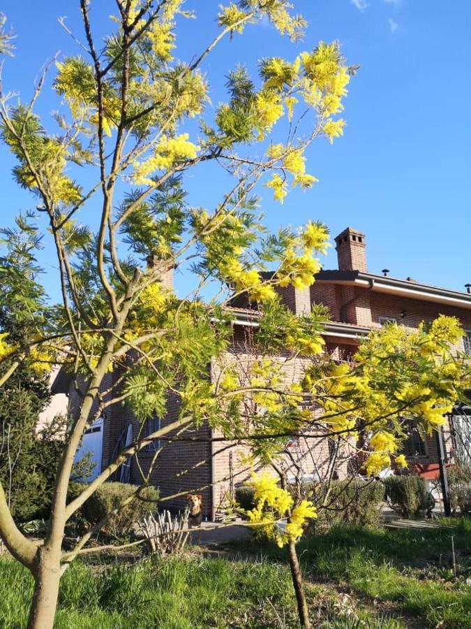 B&B Casa Dei Camini Bentivoglio Exterior photo